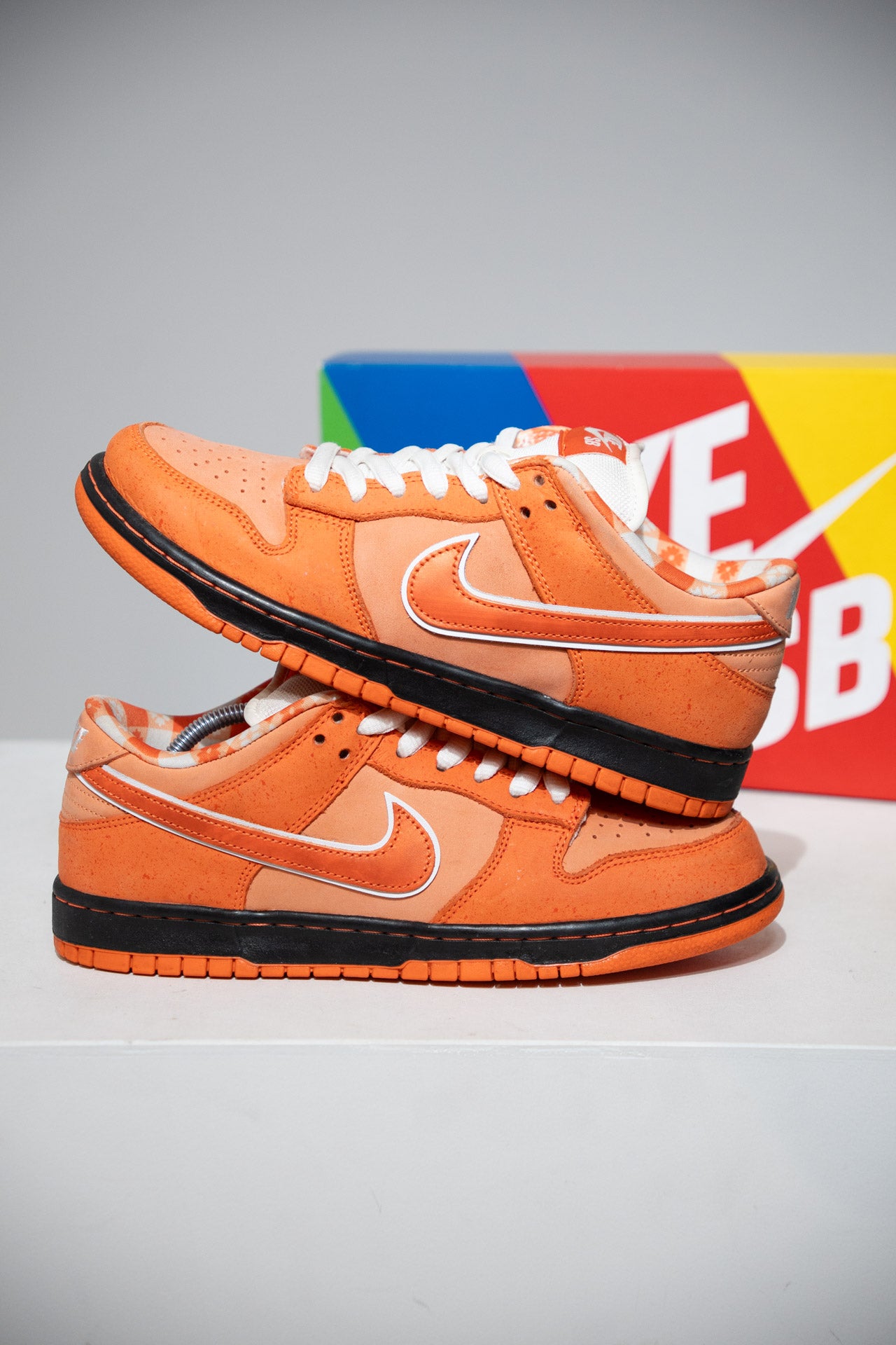 Dunk SB Lobster Orange (Taille 41)