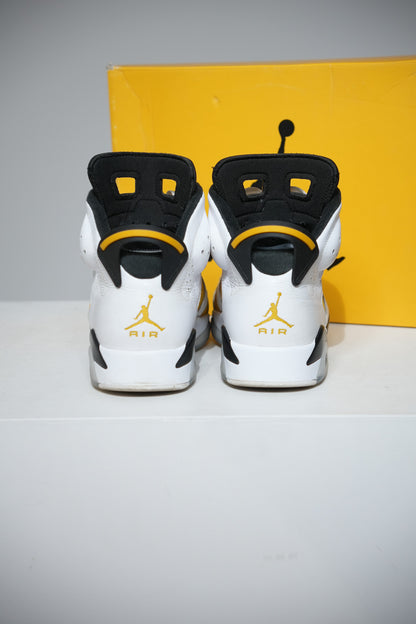 Jordan 6 Ochre (Taille 43)
