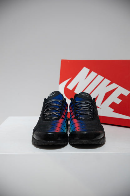 Air max Plus (TN) Berlin (Taille 45)
