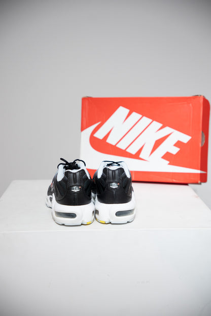 Air Max Plus (TN) Swoosh Pack Bleu (Taille 42,5)