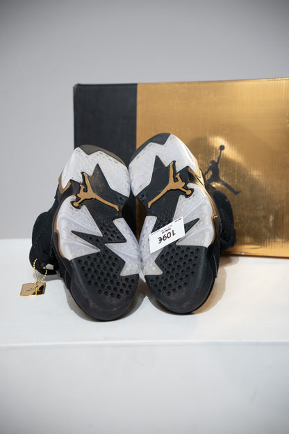 Jordan 6 DMP (Taille 40)