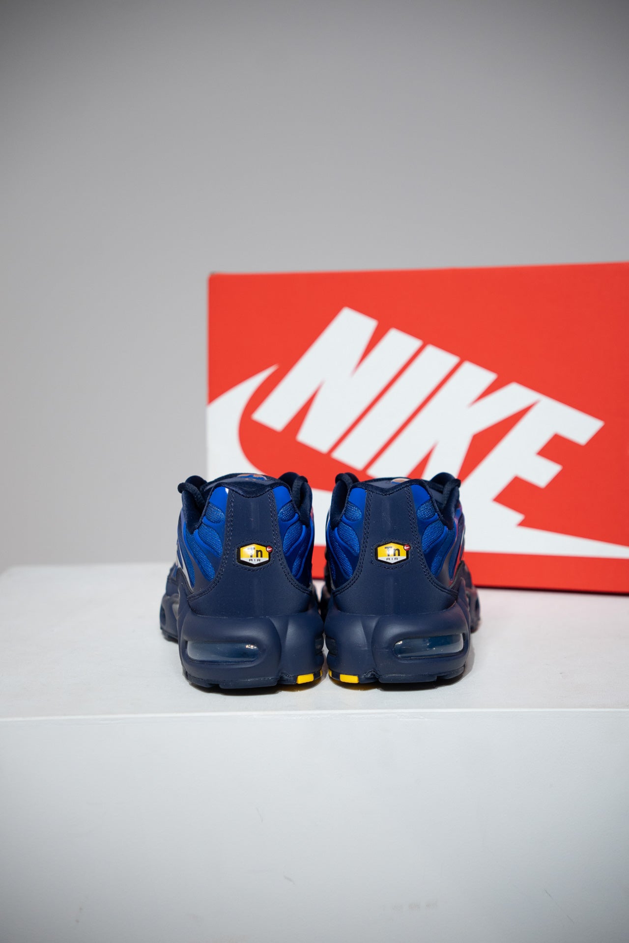 Air Max Plus (TN) FFF 2.0 (Taille 43)