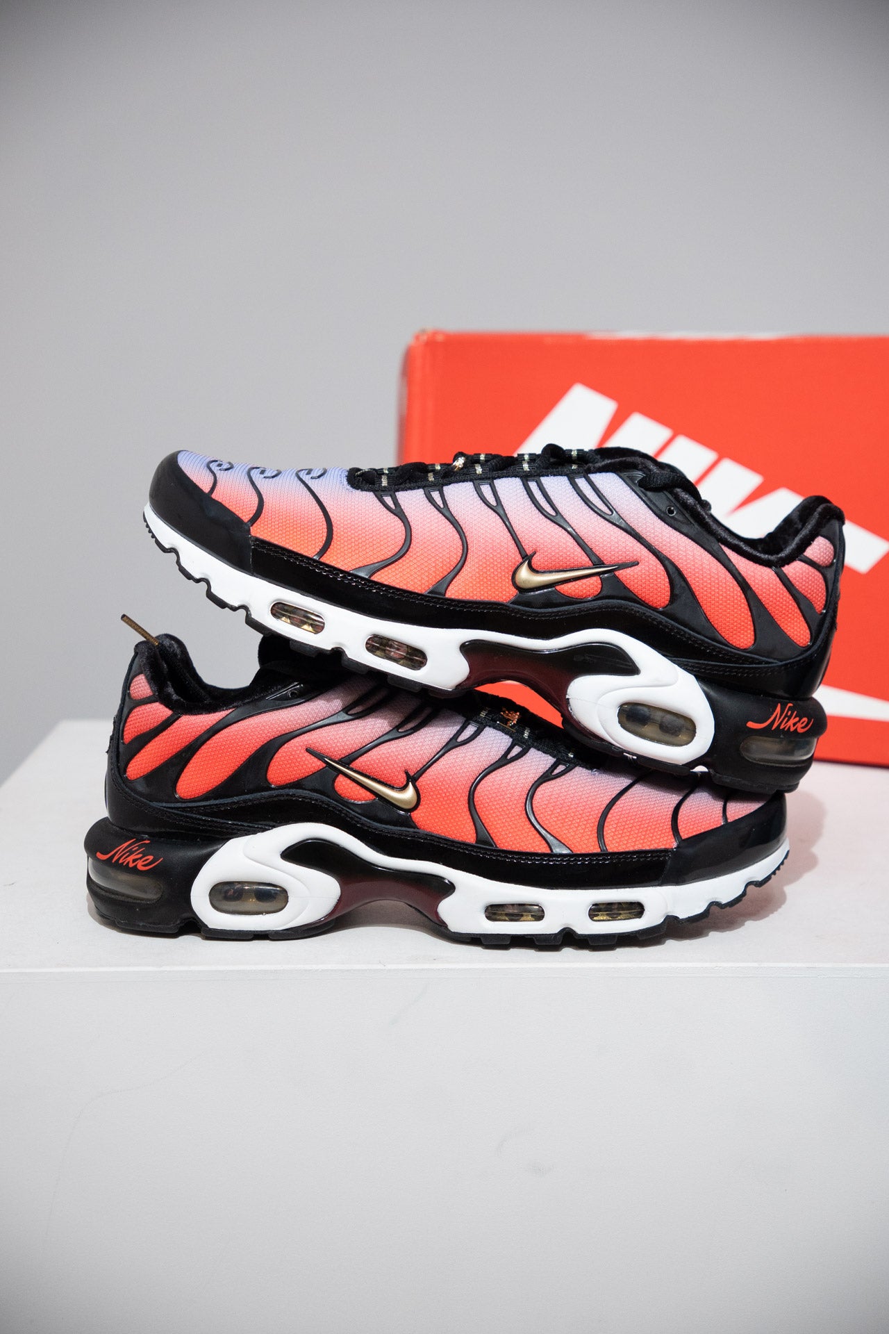 Air Max Plus (TN) Sisterhood (Taille 44,5)