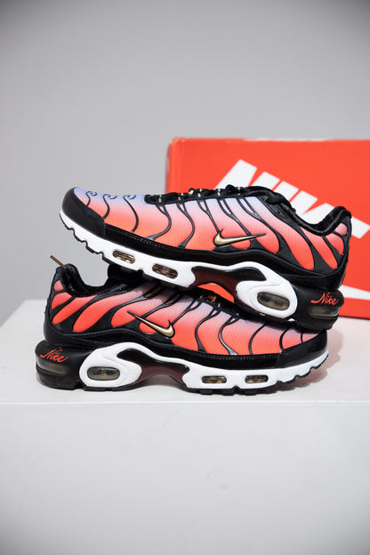 Air Max Plus (TN) Sisterhood (Taille 44,5)