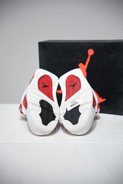 Jordan 4 Alternate 89 (Taille 42)