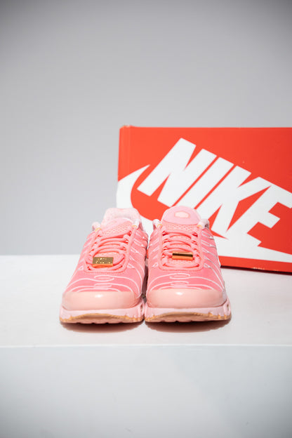 Air Max Plus (TN) Atlanta (Taille 40)