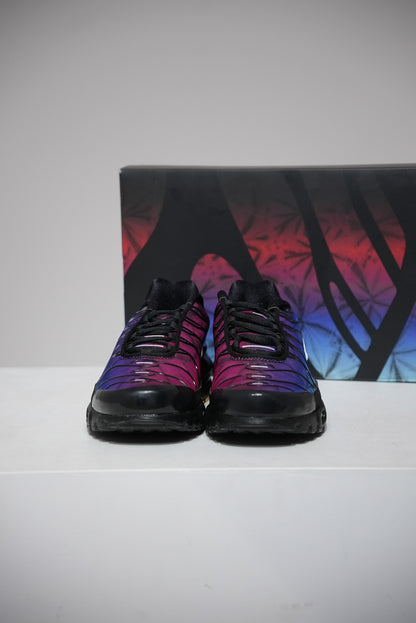 Air Max Plus (TN) Anniversary (Taille 44)