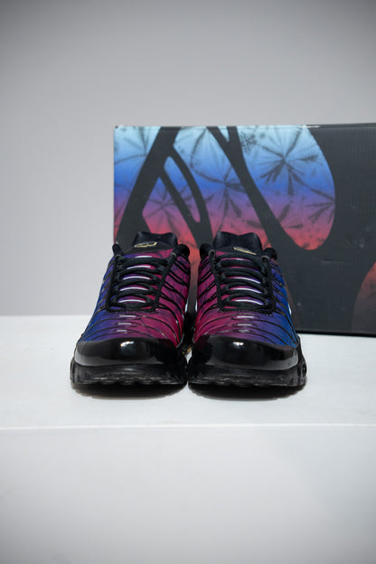 Air Max Plus (TN) Anniversary (Taille 45,5)