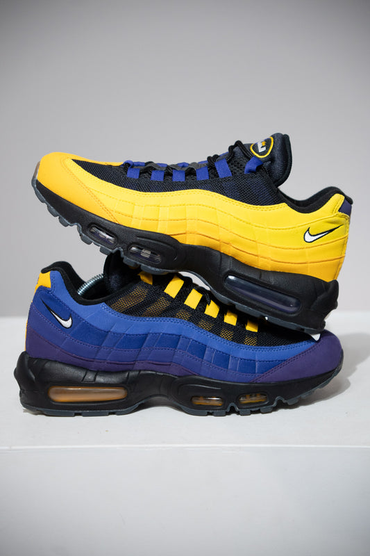 Air Max 95 Lebron (Taille 41)