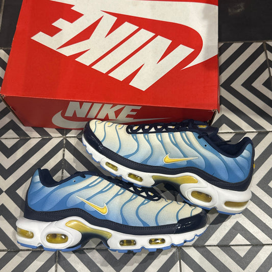 Air Max Plus (TN) Topaz Blue (Taille 42,5)