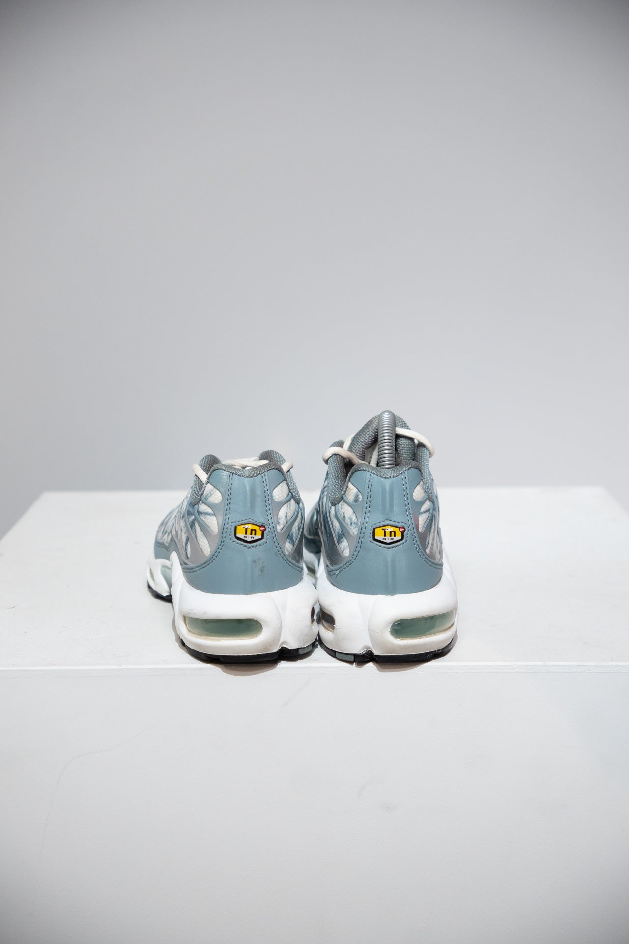 Air Max Plus (TN) Palm (Taille 40)