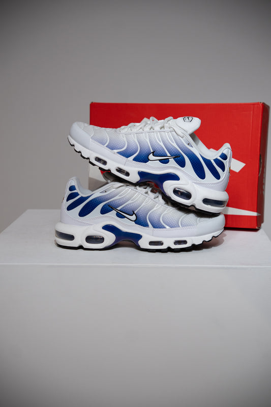 Air Max Plus (TN) Raisin (Taille 42,5)