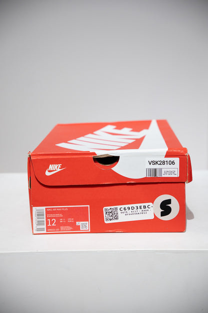 Air Max Plus (TN) Raisin (Taille 46)
