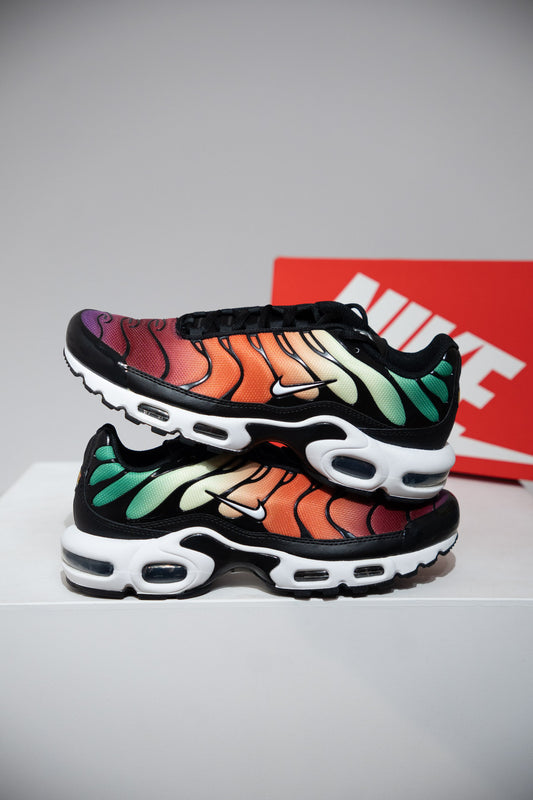 Air Max Plus (TN) Rainbow (Taille 42)