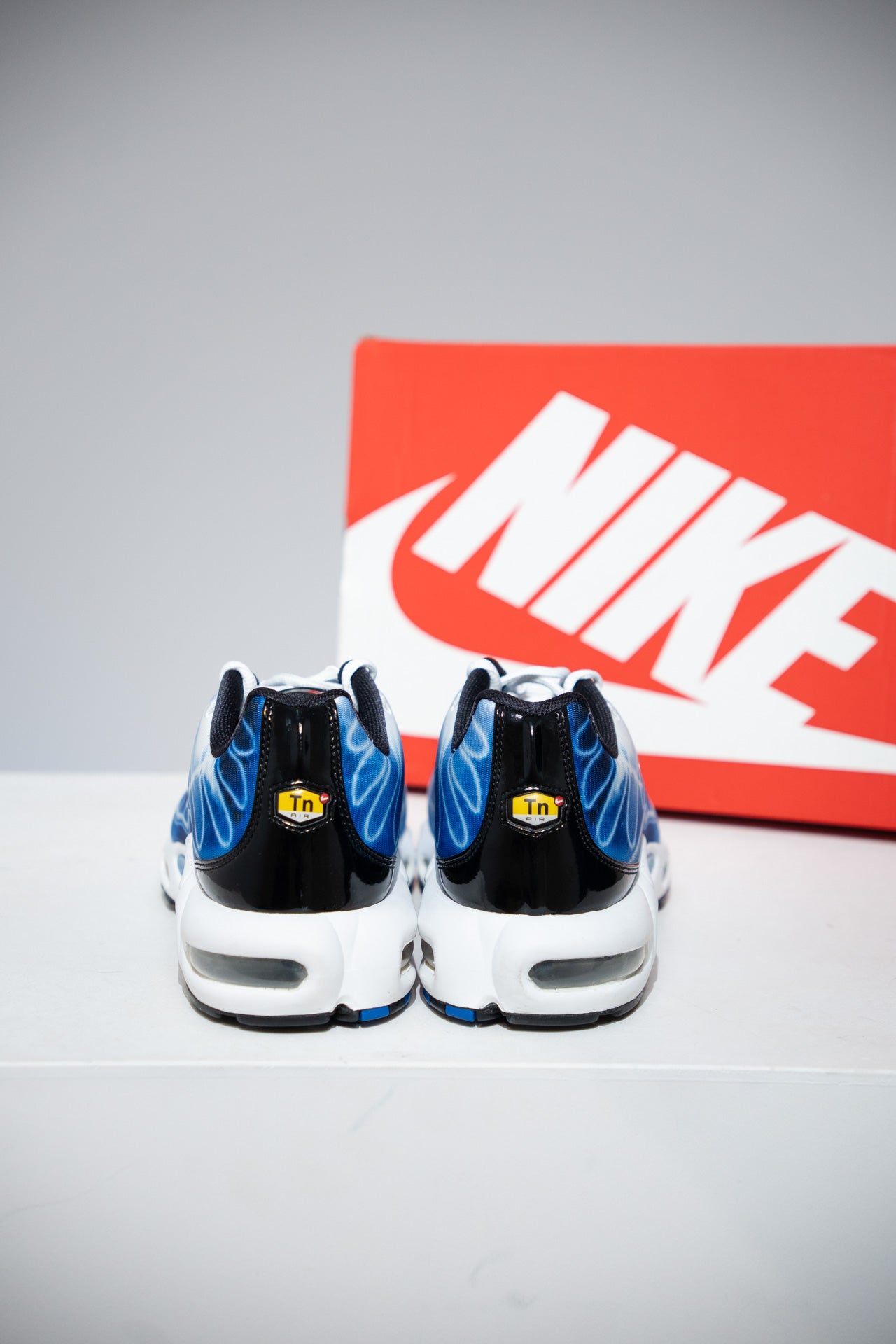 Air Max Plus (TN) Light Photography Royal (Taille 45,5)