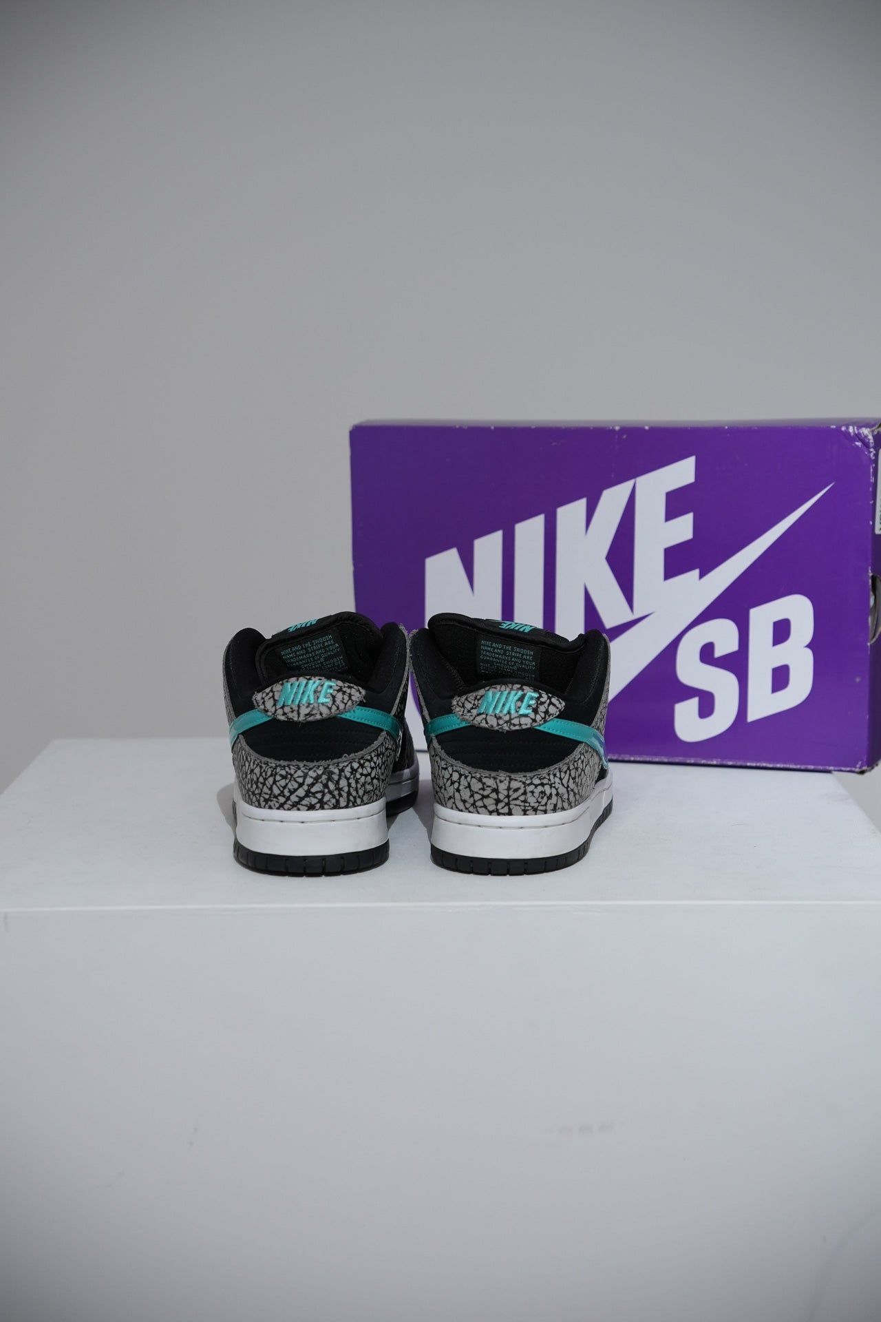 Dunk SB Atmos (Taille 42)