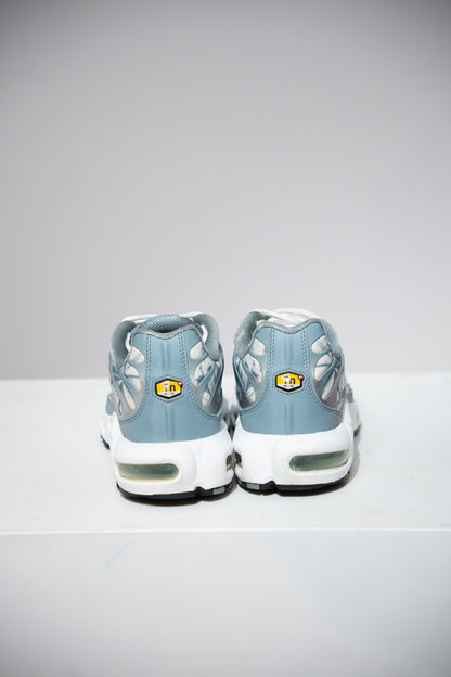 Air Max Plus (TN) Palm (Taille 45)