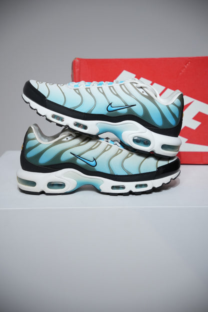 Air Max Plus (TN) Baltic Blue (Taille 39)