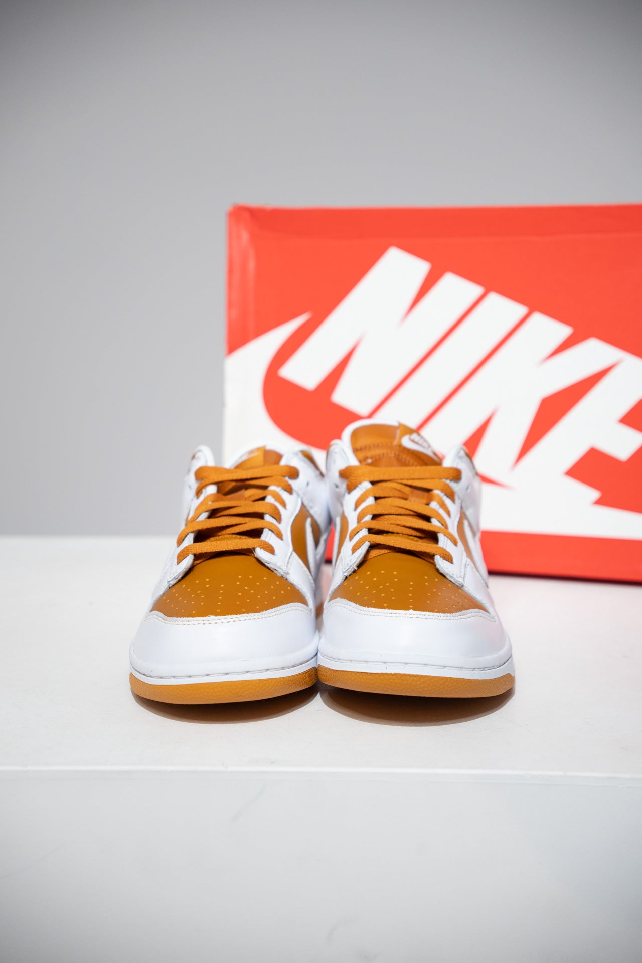 Dunk Low Dark Curry (Taille 41)