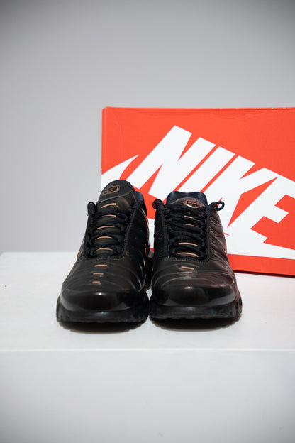 Air Max Plus (TN) Scarab (Taille 46)