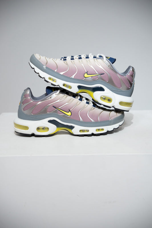 Air Max Plus (TN) Violet Jaune (Taille 42,5)