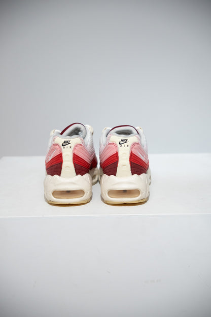 Air Max 95 Anatomy Of Air (Taille 38,5)