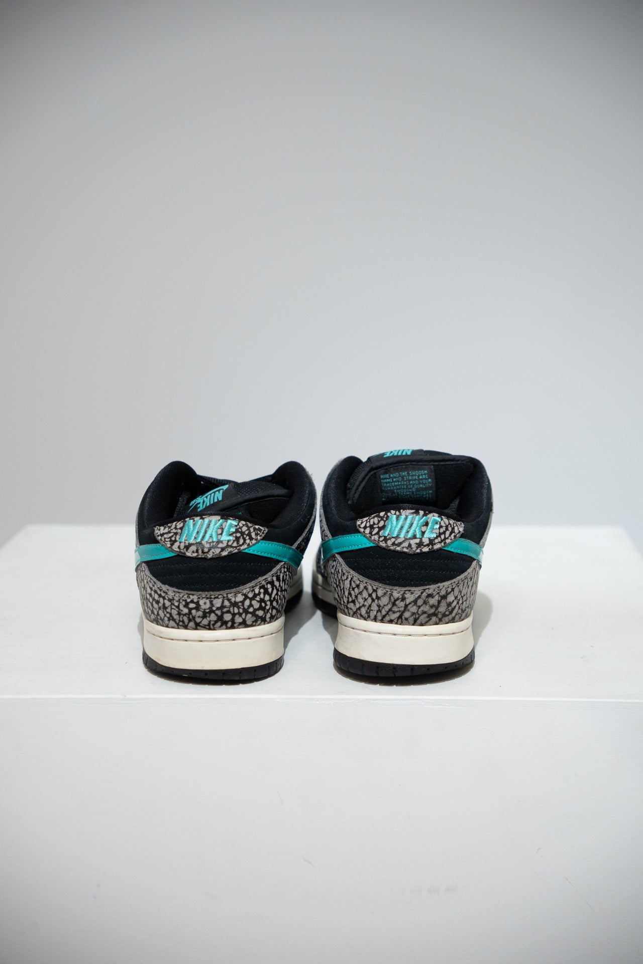 Dunk SB Atmos (Taille 44)
