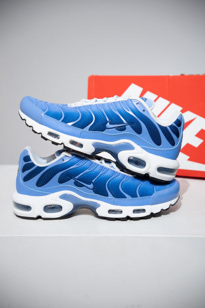 Air Max plus (TN) Royal Pulse (Taille 41)