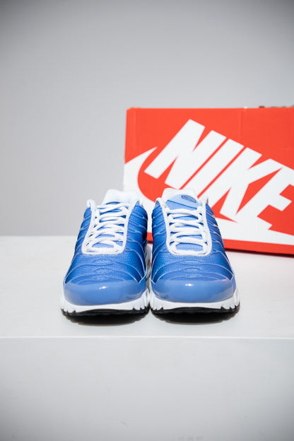 Air Max plus (TN) Royal Pulse (Taille 41)