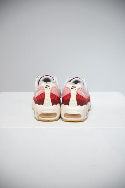 Air Max 95 Anatomy Of Air (Taille 37,5)