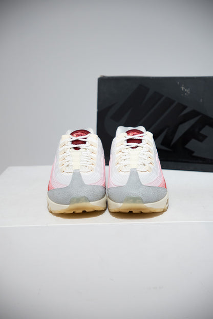 Air Max 95 Anatomy Of Air (Taille 42)