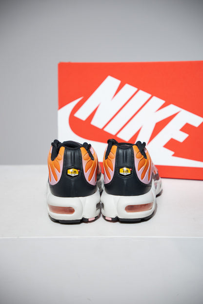 Air Max Plus (TN) Sherbert (Taille 43)