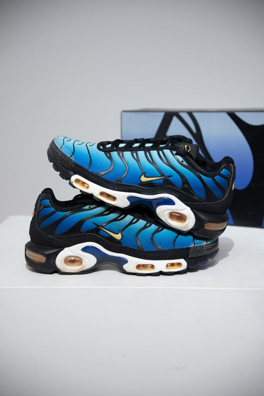 Air Max Plus (TN) Tiger Blue 2018 (Taille 41)