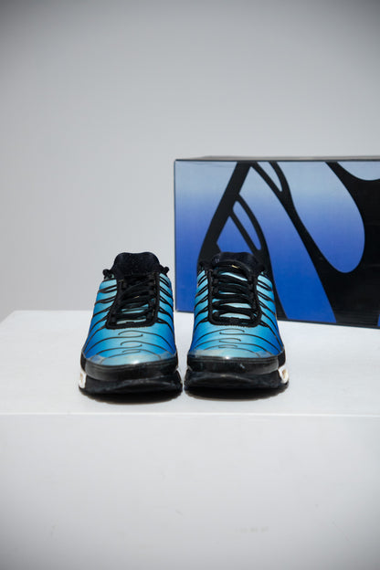 Air Max Plus (TN) Tiger Blue 2018 (Taille 41)
