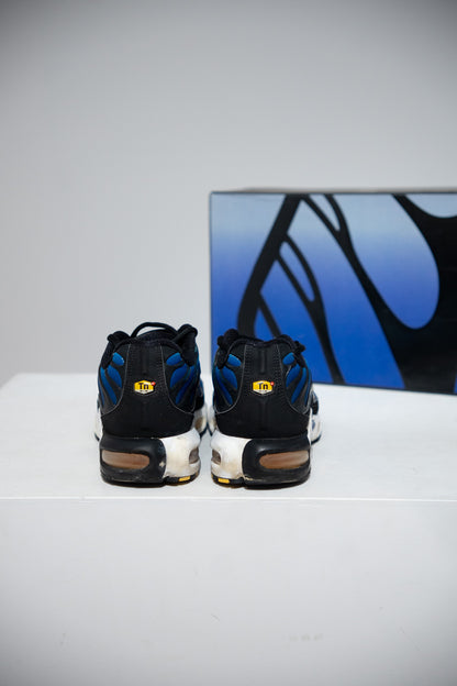 Air Max Plus (TN) Tiger Blue 2018 (Taille 41)