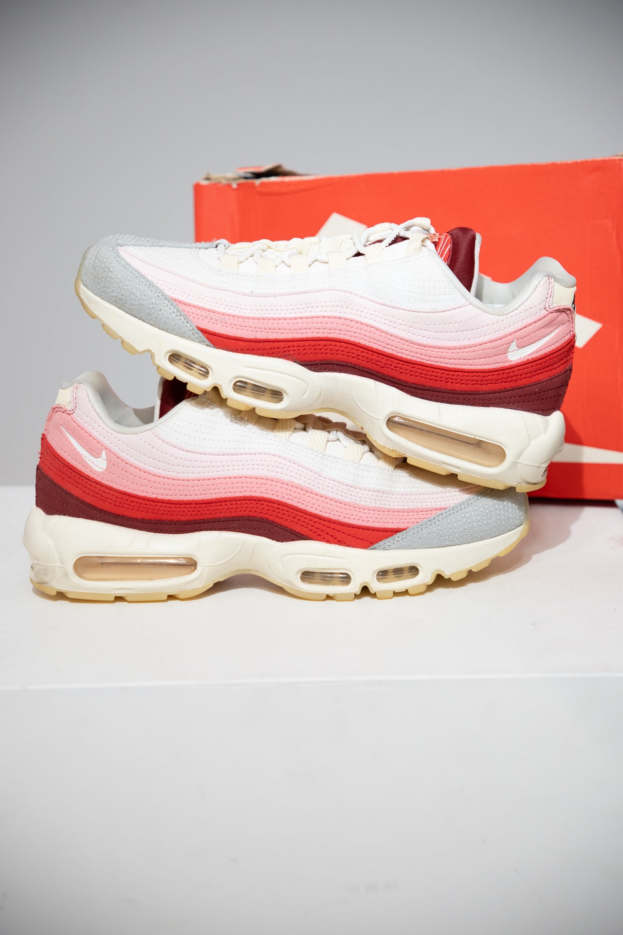Air Max 95 Anatomy Of Air (Taille 45)