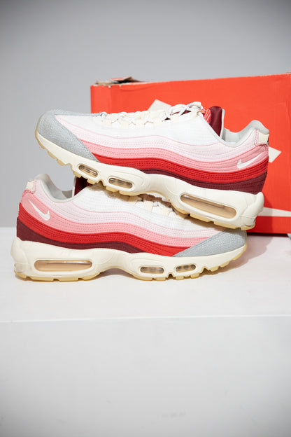 Air Max 95 Anatomy Of Air (Taille 45)