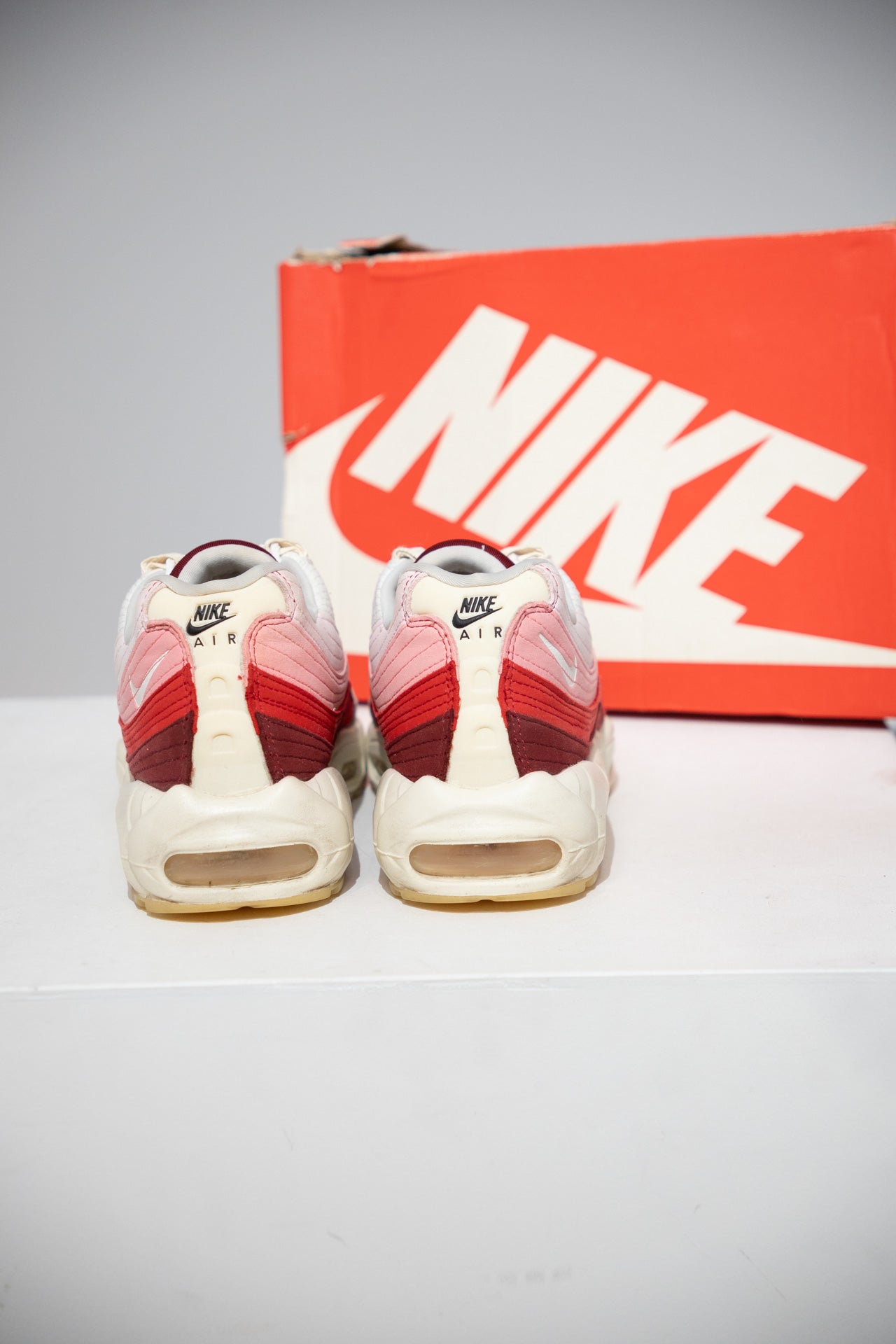 Air Max 95 Anatomy Of Air (Taille 45)