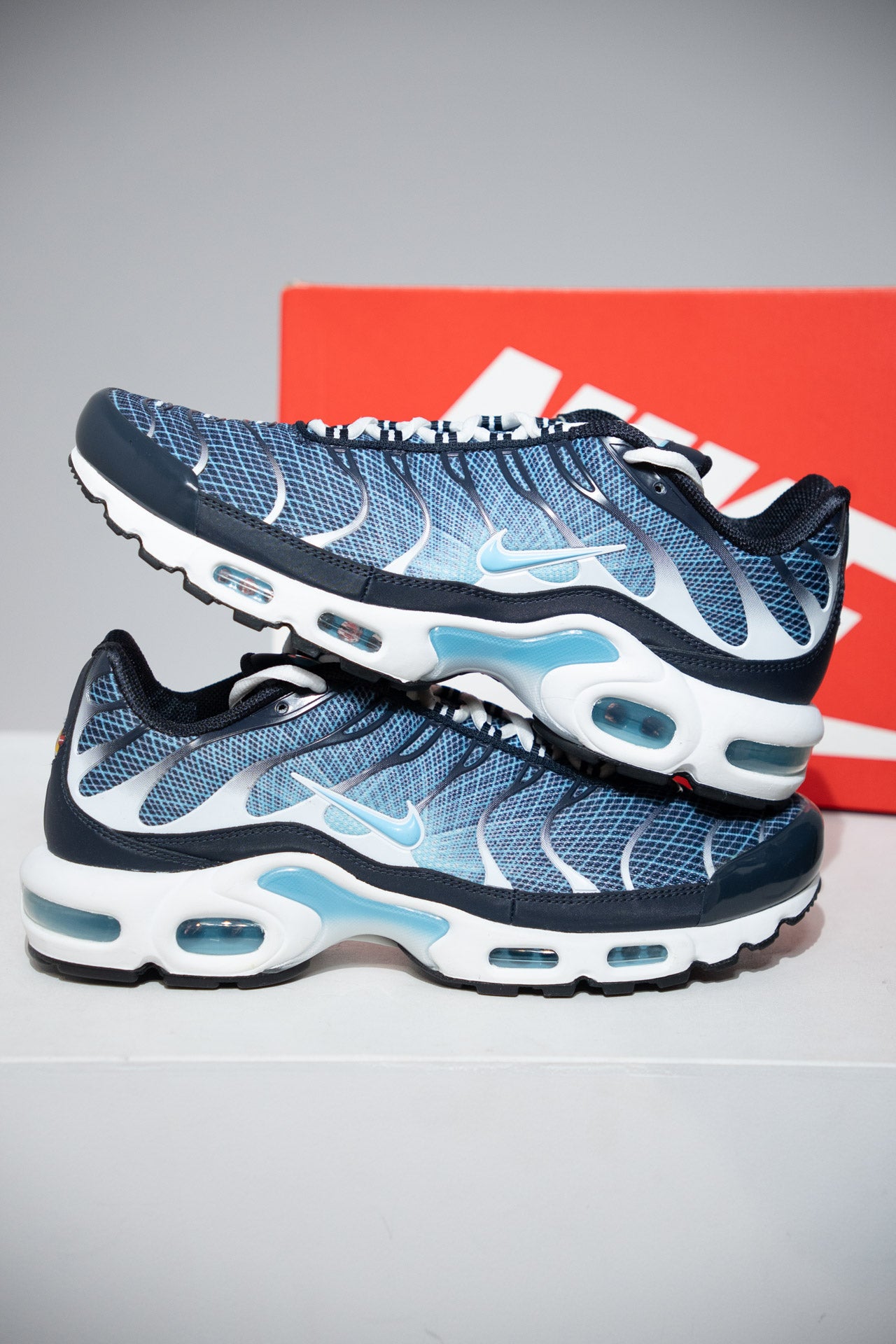 Air Max Plus (TN) Obsidienne (Taille 43)