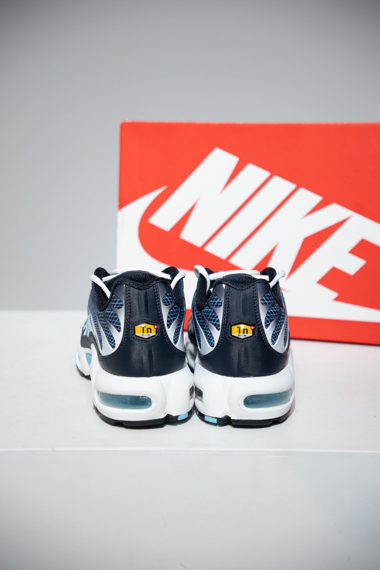 Air Max Plus (TN) Obsidienne (Taille 43)