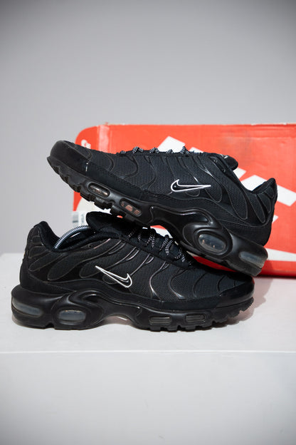 Air max Plus (TN) Berlin (Taille 42)