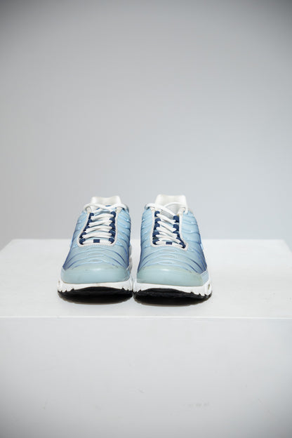 Air Max Plus (TN) Celestine Blue (Taille 41)