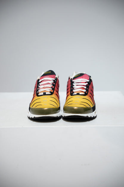 Air Max Plus (TN) Rainbow (Taille 40,5)