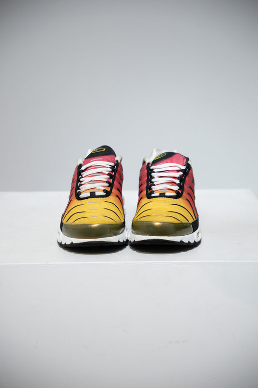 Air Max Plus (TN) Rainbow (Taille 40,5)
