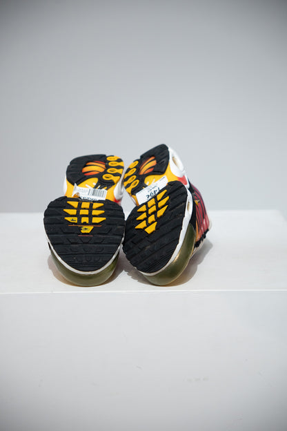Air Max Plus (TN) Rainbow (Taille 40,5)