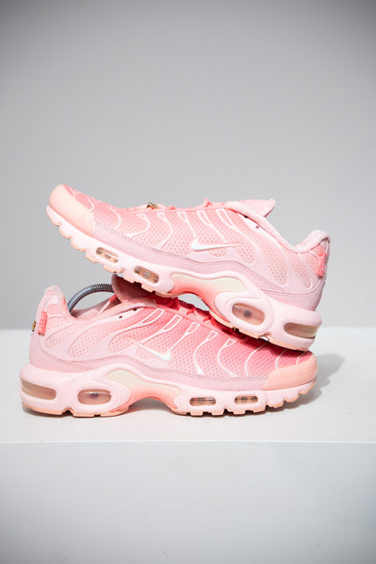 Air Max Plus (TN) Atlanta (Taille 40)