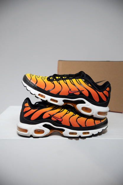 Air Max Plus (TN) Sunset (Taille 41)