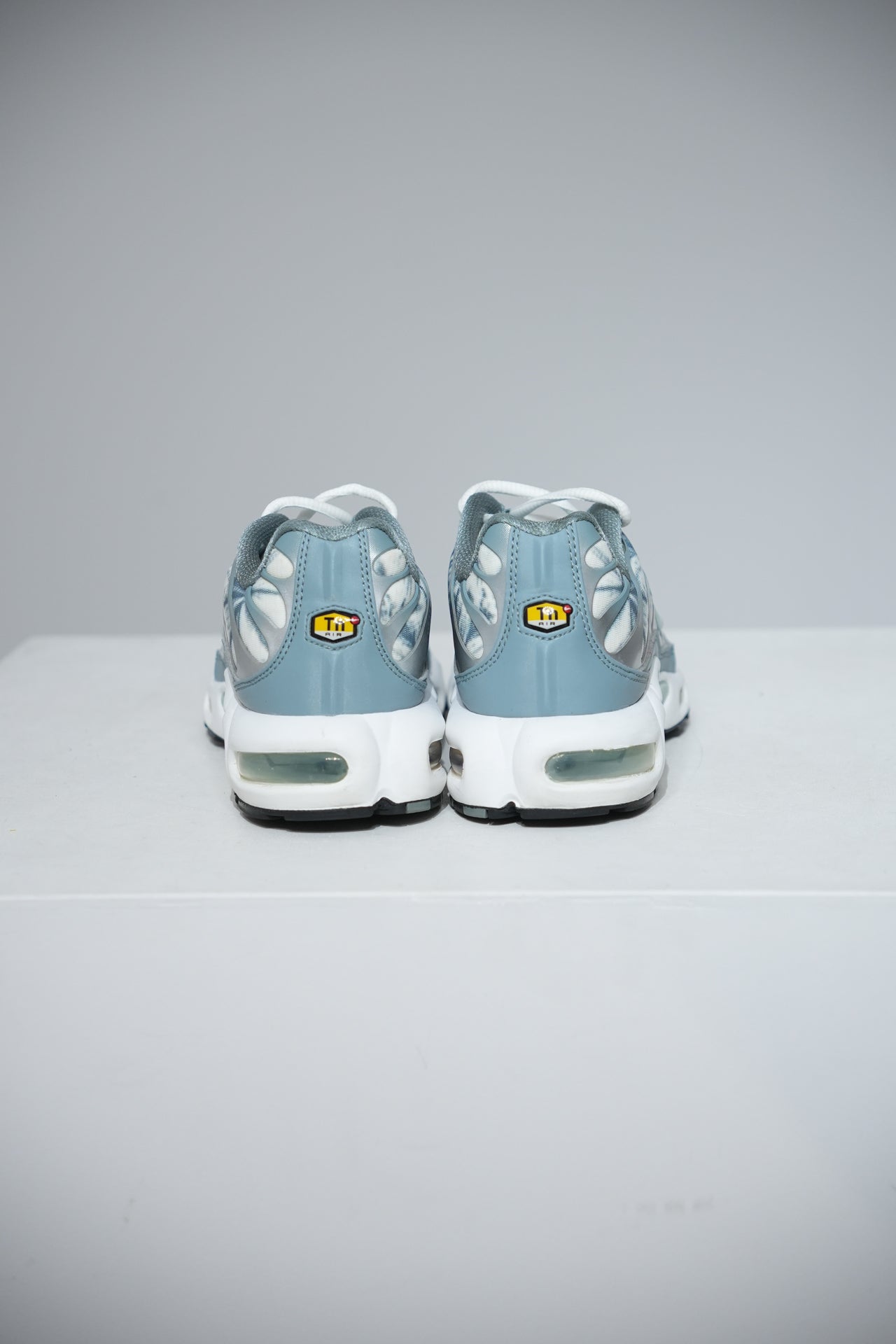Air Max Plus (TN) Palm (Taille 41)