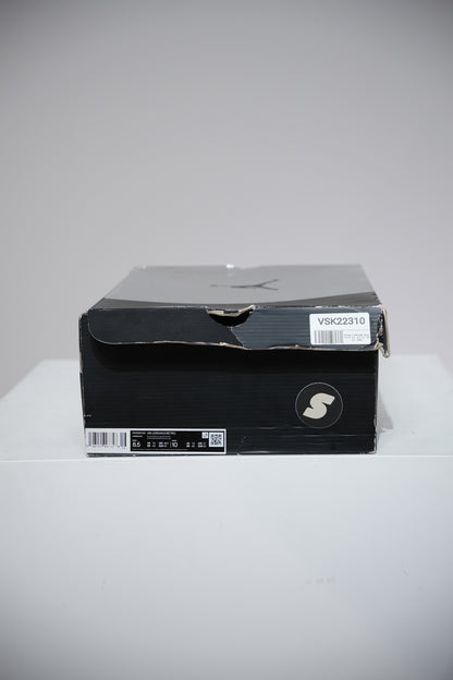 Jordan 6 Metallic Silver (Taille 42)
