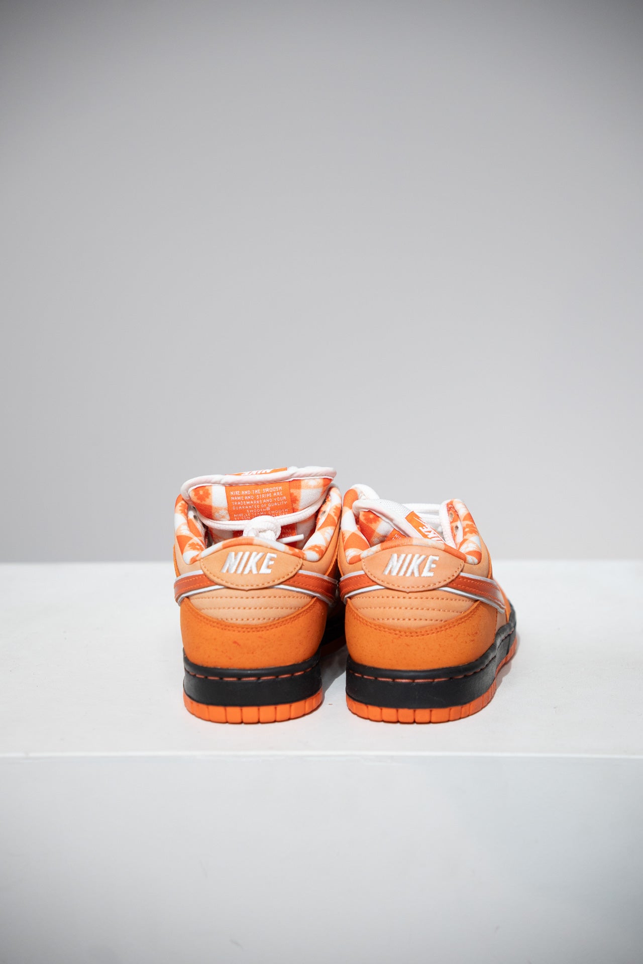 Dunk SB Lobster Orange (Taille 38,5)